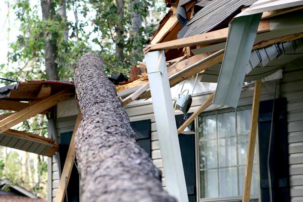 Storm Damage Repair Services